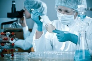В России вводят контроль над продукцией из ГМО