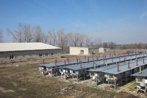 Компания «Липецк-МИАКРО» продаёт за 11 млн. рублей ферму по разведению кроликов Компания «Липецк-МИАКРО» продаёт за 11 млн. рублей ферму по разведению кроликов