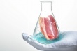 Финские специалисты создали заменитель мяса из овса и фасоли
