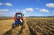 В Красноярском крае стартует заявочная кампания на фермерские гранты
