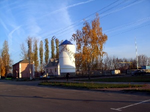 В Хлевном будут выращивать птицу и кроликов