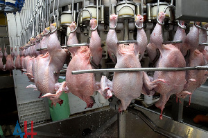 Государственное предприятие «Шахтерская птицефабрика» переходит на российские корма