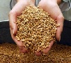 Краснодарский край кормит заграницу хлебом, сгущенкой и колбасами