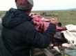 В Ненецком автономном округе подвели итоги убойной кампании