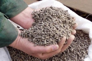 Потери урожая от стихии в Приморском крае могут осложнить ситуацию с обеспеченностью кормами на приморских животноводческих предприятиях 