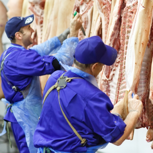 Мясной сектор снова в плюсе. Общее производство увеличится на 6%