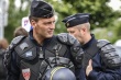 Французские фермеры вышли на акцию протеста против низких цен на говядину