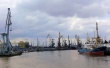 В порту Калининград задержали более 24 т говядины из Колумбии