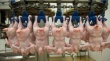 Украина: Крупнейший производитель курятины увеличил продажи на 21%