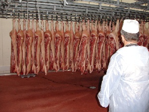 Кубань констатировала нехватку местного сырья для мясокомбинатов