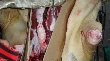 В Красноярске задержана партия "опасного" мяса