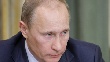 Путин во вторник проведет совещание по развитию животноводства Путин во вторник проведет совещание по развитию животноводства