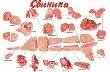 Обзор европейского рынка свиней: Рынок Устойчивый Обзор европейского рынка свиней: Рынок Устойчивый