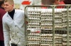 В ближайшее время птицеводы Таможенного союза создадут свою ассоциацию