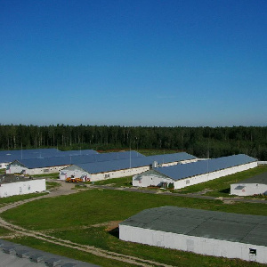 "Элинар-Бройлер" завершит строительство репродуктора в Наро-Фоминске в 2023 году