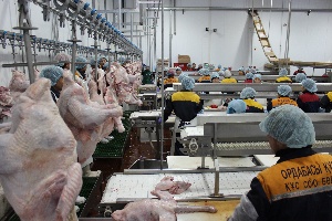 Комплекс по производству мяса индейки в ЮКО за год увеличил производство почти в два раза