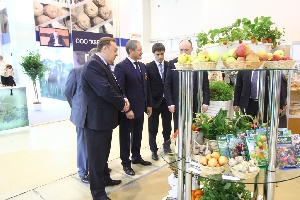 "Золотая осень": в Курганской области построят новые животноводческие комплексы