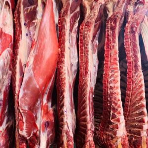 Производители говядины намерены развивать отечественный рынок племенного скота Производители говядины намерены развивать отечественный рынок племенного скота