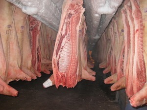  Продукты уссурийского мясокомбината могут быть заражены АЧС