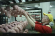 «Выпали из орбиты господдержки»: Калининградские мясопереработчики оказались на грани исчезновения