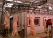 В Республике Коми сделан существенный прорыв в обеспечении населения местной свининой высокого качества