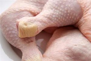 На омской границе задержали 19 тонн курятины
