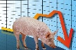 Свинина не в цене. Падение цен на свинину в России продолжается седьмой месяц