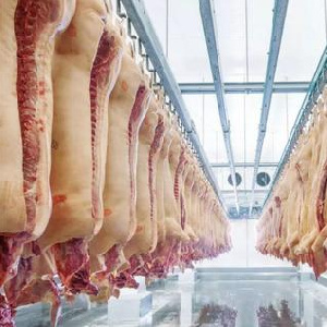 Производство мяса в Подмосковье выросло на 4% в 2022 г Производство мяса в Подмосковье выросло на 4% в 2022 г