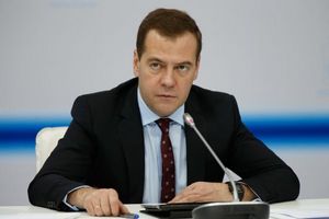 Медведев: Россия решила основные вопросы по продовольственной безопасности