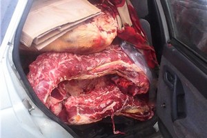 В Ростовской области на границе с Украиной задержаны полтонны нелегальной говядины