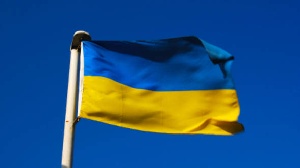 Пока импортеры бегут от девальвации, украинские свиноводы зарабатывают