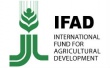 Правительственная комиссия одобрила законопроект о присоединении России к Международному фонду сельхозразвития