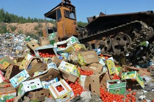 Россельхознадзор отчитался об уничтожении санкционной продукции
