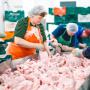 Россельхознадзор: потенциал стран ближнего зарубежья по поставкам мяса из РФ недооценен