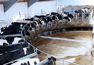 Российский союз сельской молодежи приглашает молодых предпринимателей и специалистов на специальную секцию 13-й Международной выставки «Молочная и Мясная индустрия»