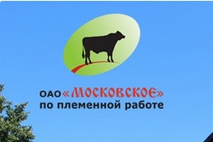 В ОАО "Московское" по племенной работе состоялся семинар-совещание "Состояние и перспективы развития племенного животноводства"