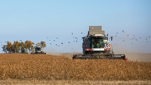 Тверская область увеличивает поддержку АПК на 600 млн рублей