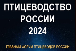 Международный форум «ПТИЦЕВОДСТВО РОССИИ 2024» состоится 23 января 2024 г. в Москве в отеле «Космос»