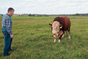 Фермеры Югры вынуждены поднять цены на свою продукцию. Или ухудшить ее качество