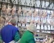 Мясной сектор привлек $7,2 млрд. К 2021 году Россия сможет производить до 3% мирового объема мяса