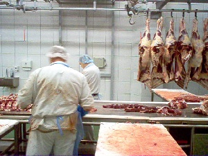 В Дагестане открыли цех по первичной переработке мяса В Дагестане открыли цех по первичной переработке мяса