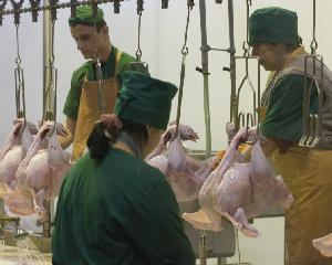 «Евродон» будет продан Россельхозбанку