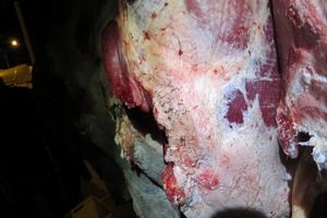 В Крым не пустили крупную партию опасной говядины из Украины