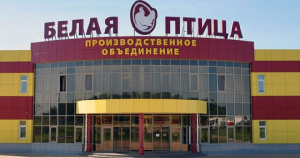 Имущество компании «Белая птица – Ростов» оценивается в 4,6 млрд рублей