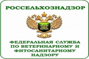 С 1 по 7 января на МАПП Забайкальск совершено 16 нарушений ветеринарного законодательства