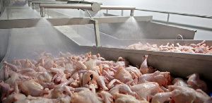 Ещё четыре российских предприятия по производству мяса птицы получили право поставок своей продукции во Вьетнам
