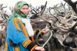  Убойная компания в НАО выполнена на 90% 