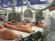 Будущее мясной отрасли: проблемы и решения