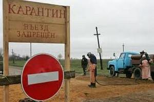 Азербайджан временно ограничил импорт мяса из Турции