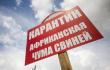 В Ульяновской области произошла вспышка АЧС